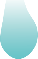 毛根にタンパク質を