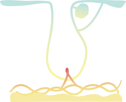 毛根から育てる