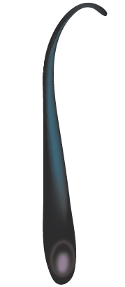 ストレスに弱い頭髪