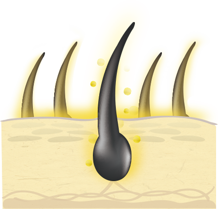 タンパク質「アルブミン」のパワー